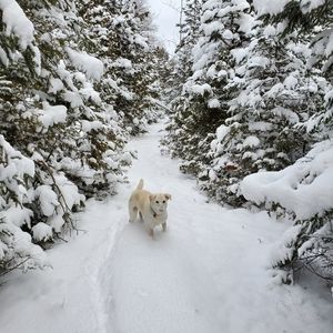 Meet your Posher, Paul